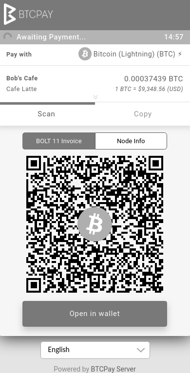 BTCPay Server Lightning invoice